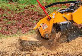 Lawn Pest Prevention in Burwell, NE
